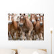 Haflinger Horses Wall Mural
