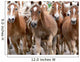 Haflinger Horses Wall Mural