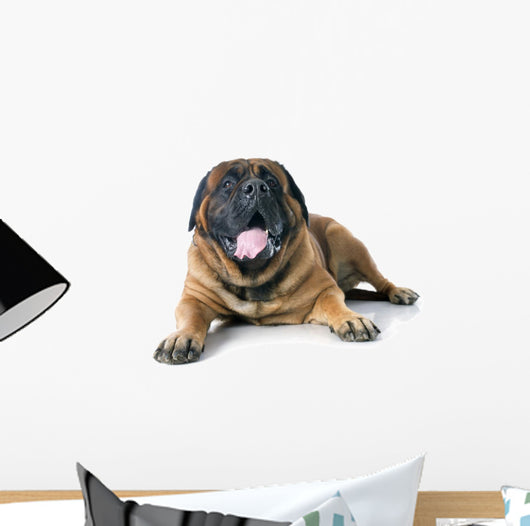 Mastiff Wall Decal