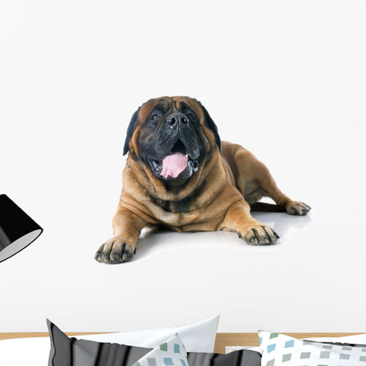 Mastiff Wall Decal