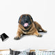 Mastiff Wall Decal