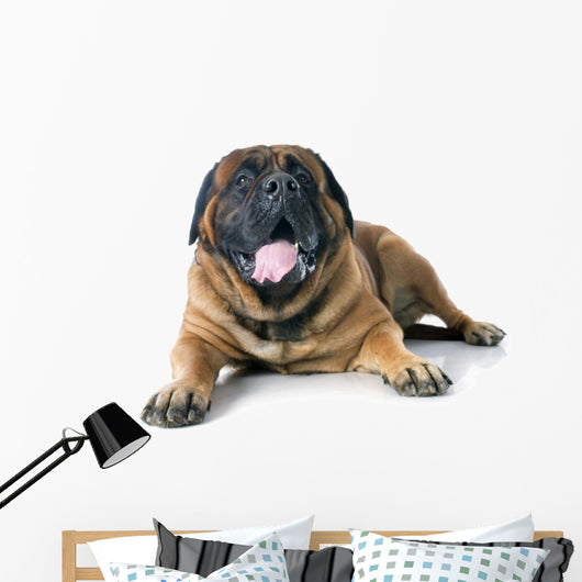 Mastiff Wall Decal