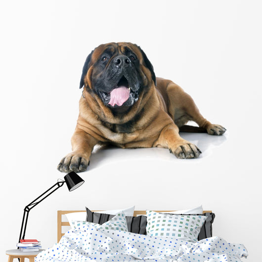 Mastiff Wall Decal