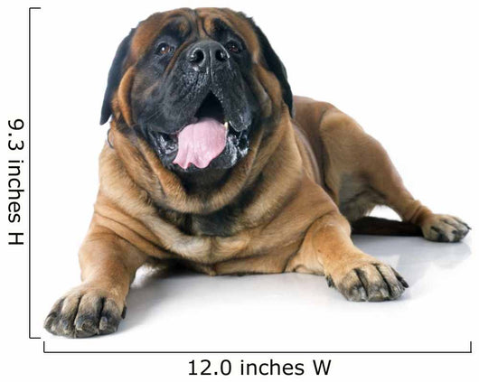 Mastiff Wall Decal