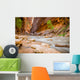 Virgin River Zion National Wall Decal