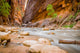 Virgin River Zion National Wall Decal