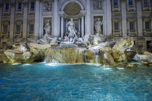 Wide Angle Famous Trevi Wall Decal