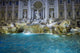 Wide Angle Famous Trevi Wall Decal