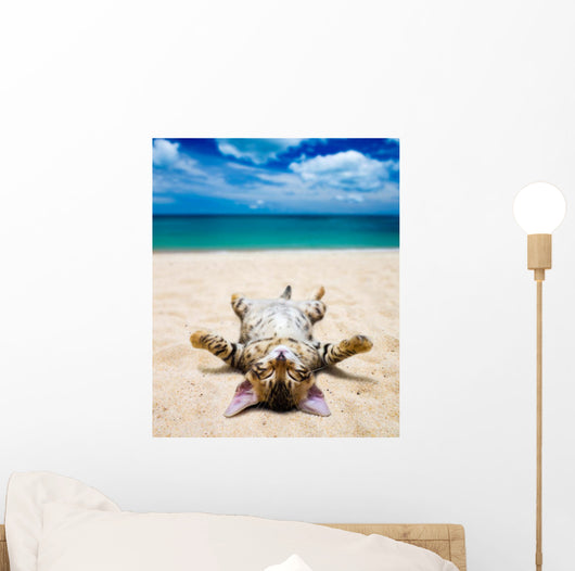 cat on beach Wall Mural