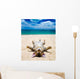 cat on beach Wall Mural