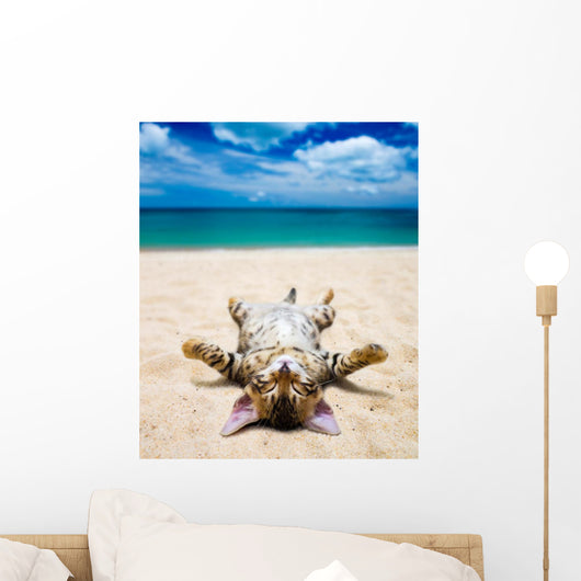cat on beach Wall Mural