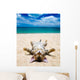 cat on beach Wall Mural