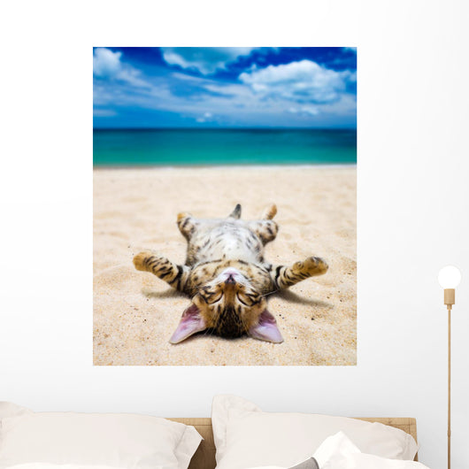 cat on beach Wall Mural