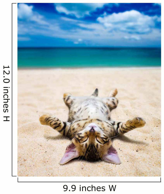 cat on beach Wall Mural
