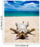 cat on beach Wall Mural