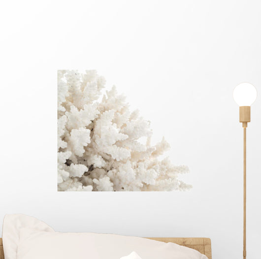White Coral Wall Decal