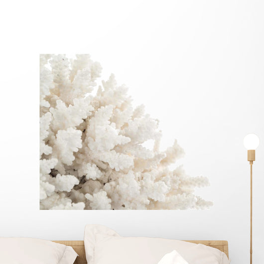 White Coral Wall Decal