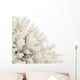 White Coral Wall Decal