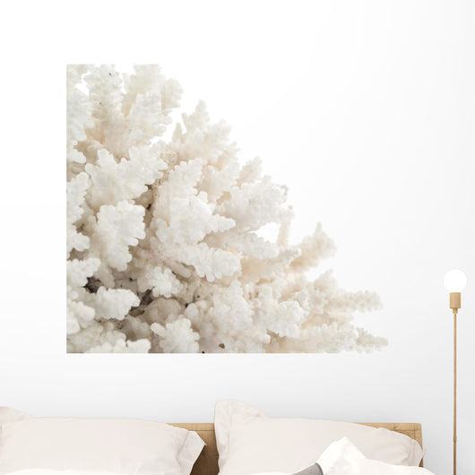 White Coral Wall Decal