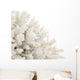 White Coral Wall Decal