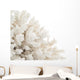 White Coral Wall Decal