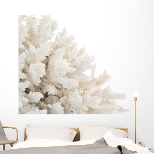 White Coral Wall Decal