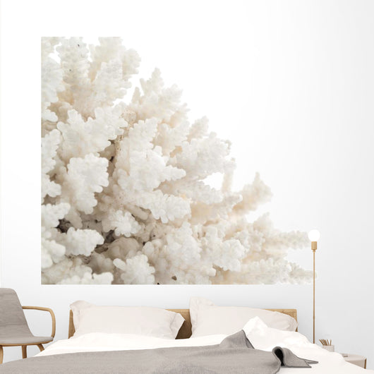 White Coral Wall Decal