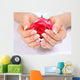 Beautiful Woman's Hands with Wall Decal