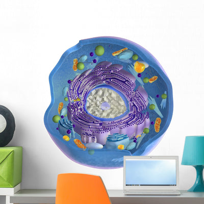 Animal Cell Wall Decal shown on a wall