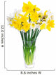 daffodil Wall Decal