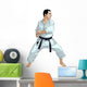 Karate illustration Wall Decal