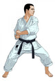 Karate Illustration Wall Decal
