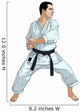 Karate illustration Wall Decal