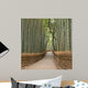 Kyoto Bamboo Grove Wall Mural