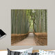 Kyoto Bamboo Grove Wall Mural