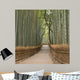 Kyoto Bamboo Grove Wall Mural