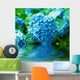 Hydrangea Flowers Wall Mural