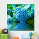 Hydrangea Flowers Wall Mural