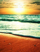 Ocean Wall Decal