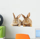 Rabbits Wall Decal