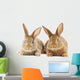 Rabbits Wall Decal