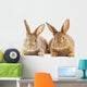 Rabbits Wall Decal