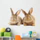 Rabbits Wall Decal