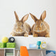 Rabbits Wall Decal
