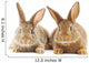 Rabbits Wall Decal
