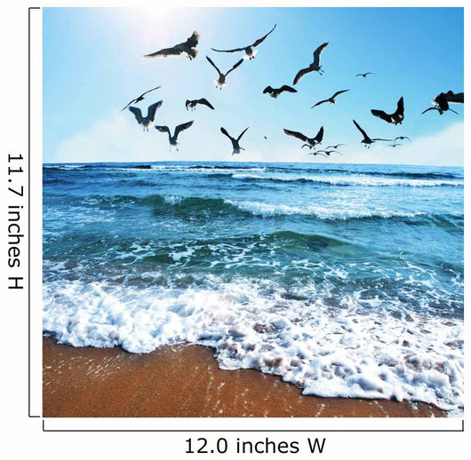 Sea Gulls Wall Decal