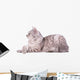 Gray Tabby Cat European Wall Decal