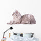 Gray Tabby Cat European Wall Decal