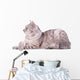 Gray Tabby Cat European Wall Decal