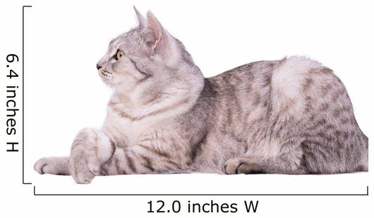 Gray Tabby Cat European Wall Decal